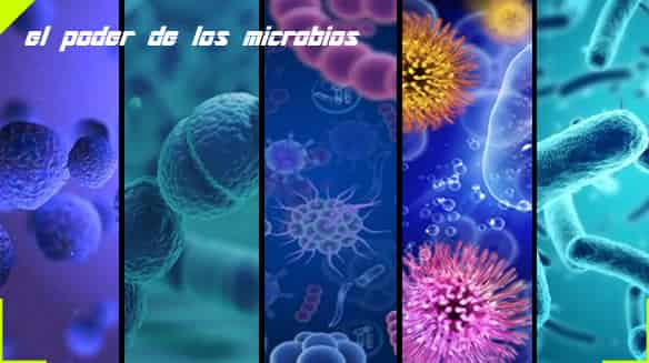El poder de los microbios