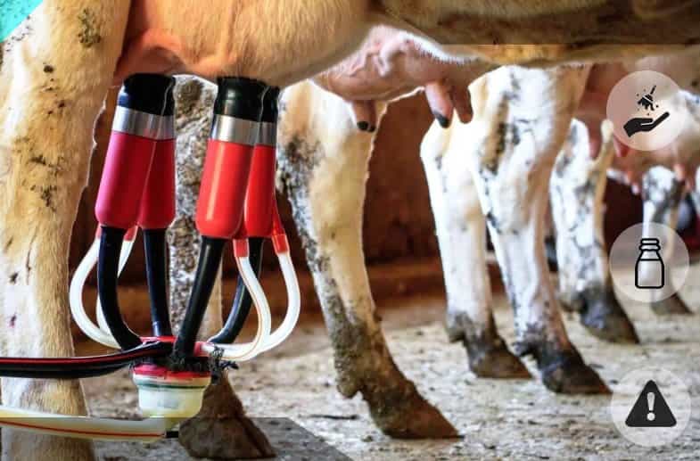 Importancia de los preceptos higiénicos al manipular la leche